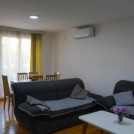 Apartment Ivan *